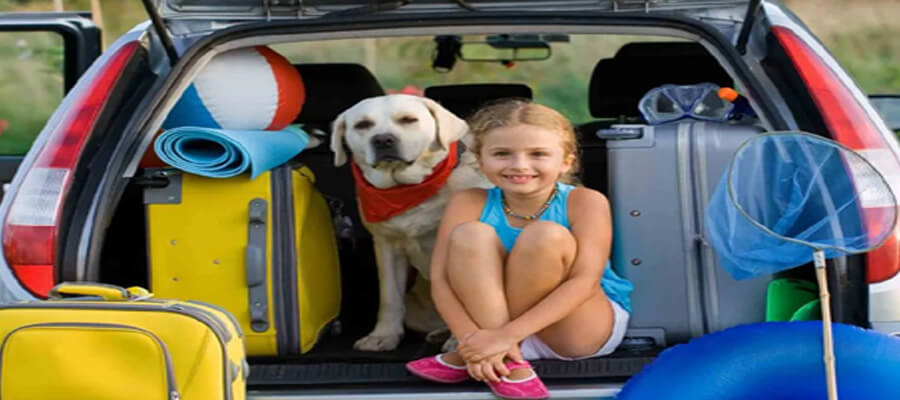 How to Travel with Your Dog: Tips for Pet-Friendly Vacations